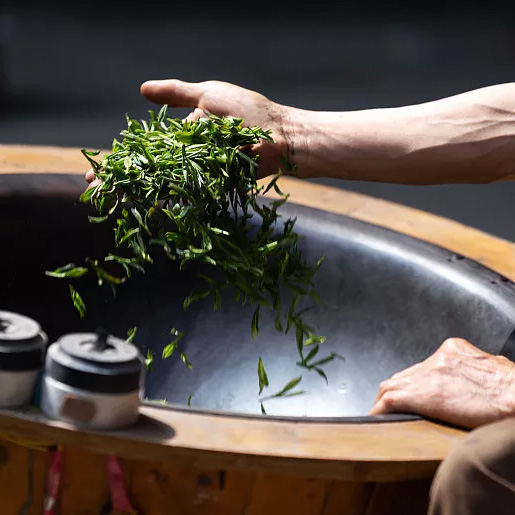 zv月茶